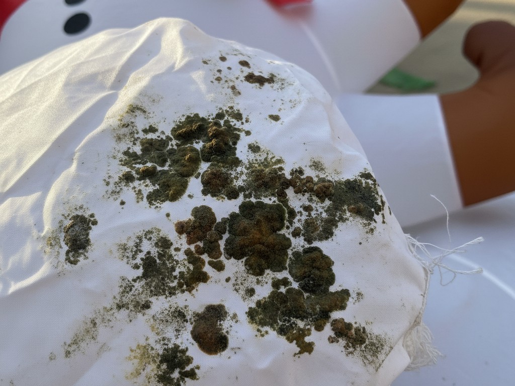 Um close da tela do tecido de nylon branco de um inflável de feriado, mostrando manchas escuras e feias de crescimento de mofo.
